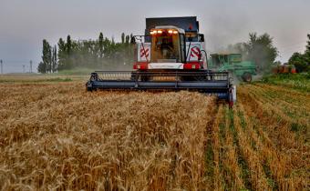 Росія і Венесуела підпишуть протокол про початок поставок пшениці