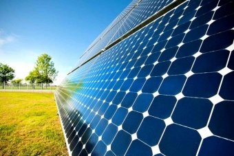 Supreme Business Group планує інвестувати в будівництво сонячних електростанцій в Україні