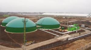 ЄБРР профінансує будівництво заводу з виробництва біопалива
