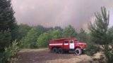 Радиационный фон в Киеве из-за пожара в Чернобыльской зоне не повысился