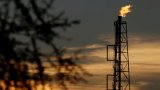Ціни на нафту зростають після різкого падіння напередодні