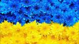 Национальный бренд Украины значительно вырос в цене