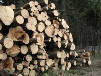 Продажа бесценных украинских ресурсов ради кредитов является преступлением - эксперт