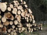 Продажа бесценных украинских ресурсов ради кредитов является преступлением - эксперт