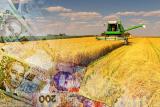 Аграрії поскаржились Гройсману на ДФС та Казначейство щодо блокування ПДВ-рахунків