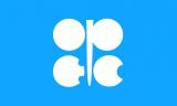 ОПЕК улучшила прогноз по спросу на нефть в 2015-2016 гг.