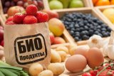 Казахстан може стати світовим виробником органічної продукції