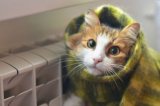 Опалювальний сезон фактично зірваний &ndash; експерт