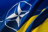 Эксперт оценила результаты саммита НАТО для Украины