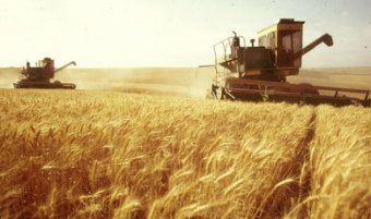 В Украине запустили онлайн-площадку для торговли агропродукцией