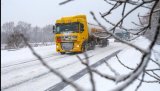 Українські перевізники почали активно відкривати компанії в Європі - експерт