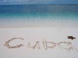 Paris Club wrote off Cuba debt of $4 billion