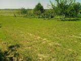 Изменен размер минимальной арендной платы за землю