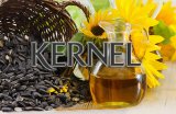 &laquo;Кернел&raquo; Веревского остается крупнейшим получателем возмещения НДС