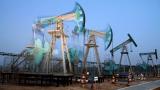 СОТ прогнозує зростання цін на нафту до $70 в 2016 р.