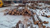 Экспорт леса-кругляка не прекратился, он идет контрабандой, - Климпуш-Цинцадзе