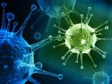 Virus, Stealing Banking Data, Has Appeared in Ukraine