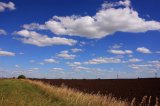 Нардепы отказались отменить продление моратория на продажу земли