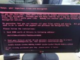Из-за атаки вируса Petya Украина за полчаса потеряла 10 млрд гривен &ndash; эксперт