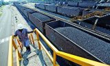 В формуле "Роттердам+" главное не цена, а будет уголь или нет, &ndash; Сапегин