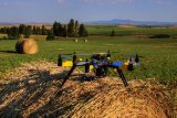 Инвестфонд Черновецкого-младшего покупает агроактивы в Украине