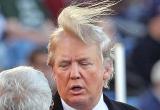 В Китае установили статую петуха, похожего на Трампа