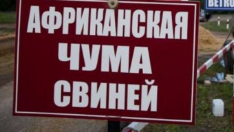 Незгасаючі спалахи АЧС відштовхують інвесторів - нардеп