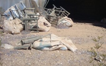 В США из-за ДТП на дорогу высыпалось $800 тысяч монетами по 10 центов