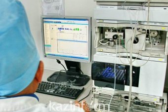 IT-медиков начнут готовить в Восточном Казахстане