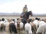 На 7 млрд тенге залучили інвестиції в Ордабасінському районі ЮКО