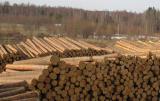 ЄС заявив про згоду України знову вивозити ліс