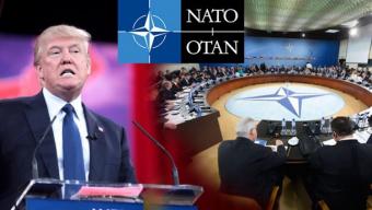 Трамп отметил низкие взносы Германии в НАТО