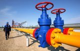 Украина может и не покупать газ у РФ - СМИ