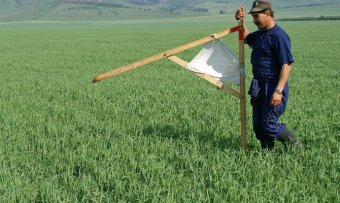 &laquo;Реформи завжди вимагають багато часу&raquo;: в Естонії дали поради Україні щодо запуску ринку землі