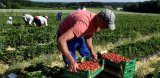 Заробитчане перечислили из Польши 100 миллиардов в 2017 году