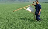 Рада продовжила мораторій на продаж сільгоспземель