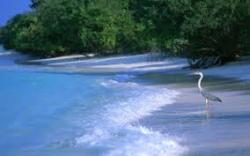 Ukrainians spend an average of 12 thousand UAH on overseas holidays
