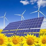 В Україні побудували 79 нових об&rsquo;єктів відновлювальної енергетики