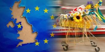 Украина выбрала шесть экспортных квот по поставкам в ЕС