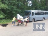 В Голосеевском парке снесли еще один лагерь ромов