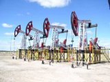 Ціни на нафту стабільно підвищуються