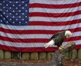 США назвали умову для початку діалогу з КНДР