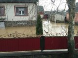 На Закарпатье почти 300 домохозяйств до сих пор затоплены
