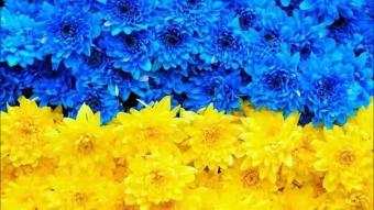 Національний бренд України значно зріс в ціні