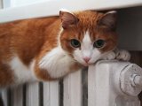 Какие услуги заложены для украинцев в тарифах на отопление