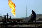 Видобутком газу в Україні може зайнятися малайзійська Petronas