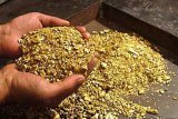 Золотая лихорадка по-украински: на Закарпатье может появиться Клондайк