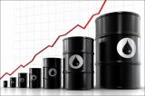Мировые цены на нефть 14 ноября изменяются разнонаправленно