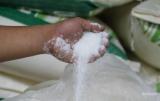 Украина продала рекордное количество сахара