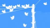 Twitter заблокував сотні акаунтів через втручання РФ у вибори США